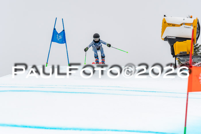 SVM  7. Stumbaum Hausfreunde Cup U12