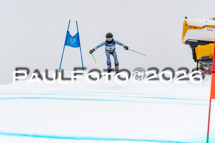 SVM  7. Stumbaum Hausfreunde Cup U12