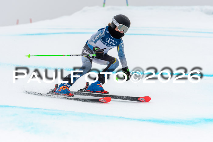 SVM  7. Stumbaum Hausfreunde Cup U12