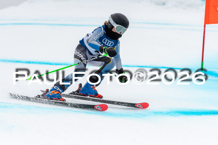 SVM  7. Stumbaum Hausfreunde Cup U12