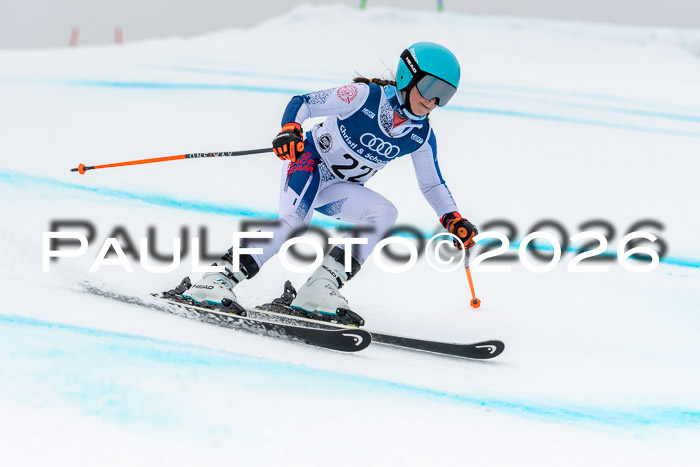 SVM  7. Stumbaum Hausfreunde Cup U12