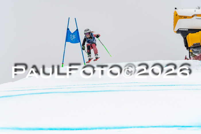 SVM  7. Stumbaum Hausfreunde Cup U12