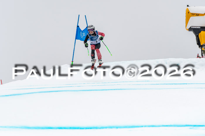 SVM  7. Stumbaum Hausfreunde Cup U12