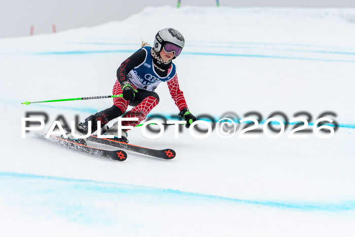 SVM  7. Stumbaum Hausfreunde Cup U12