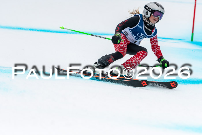 SVM  7. Stumbaum Hausfreunde Cup U12