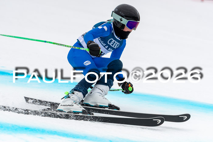 SVM  7. Stumbaum Hausfreunde Cup U12