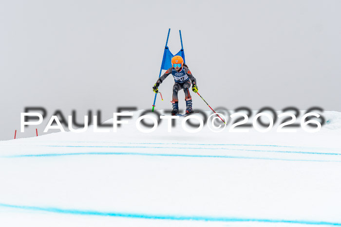 SVM  7. Stumbaum Hausfreunde Cup U12