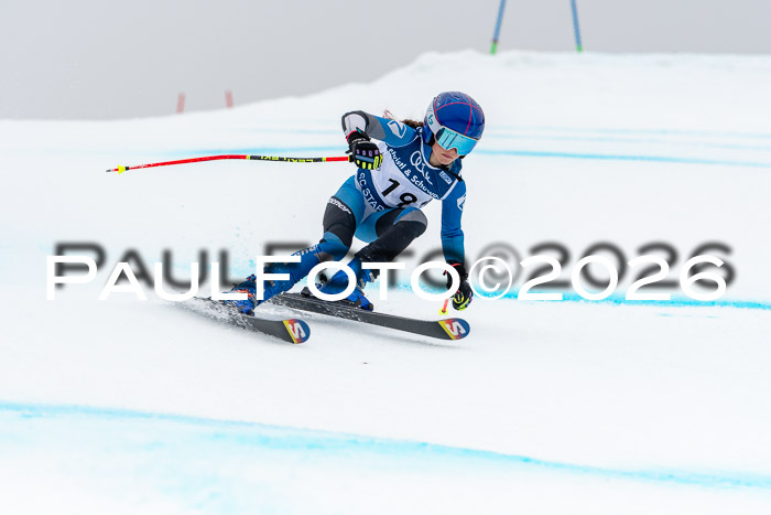 SVM  7. Stumbaum Hausfreunde Cup U12