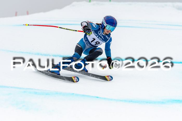 SVM  7. Stumbaum Hausfreunde Cup U12