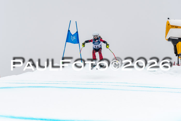 SVM  7. Stumbaum Hausfreunde Cup U12