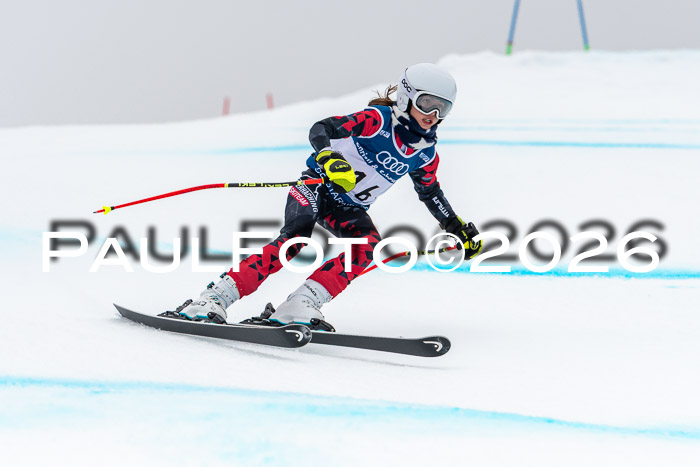 SVM  7. Stumbaum Hausfreunde Cup U12