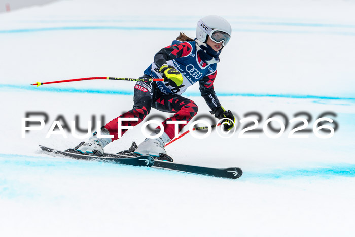 SVM  7. Stumbaum Hausfreunde Cup U12