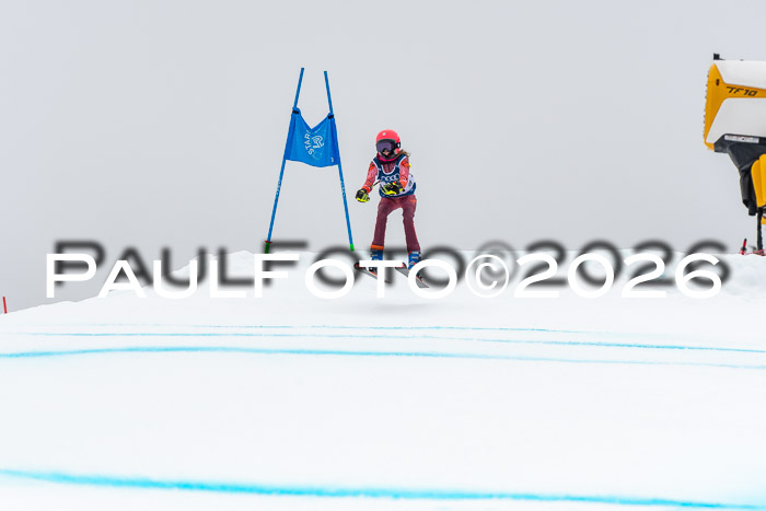 SVM  7. Stumbaum Hausfreunde Cup U12