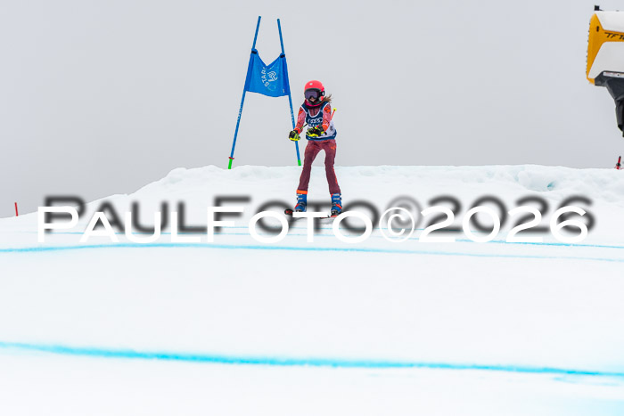 SVM  7. Stumbaum Hausfreunde Cup U12