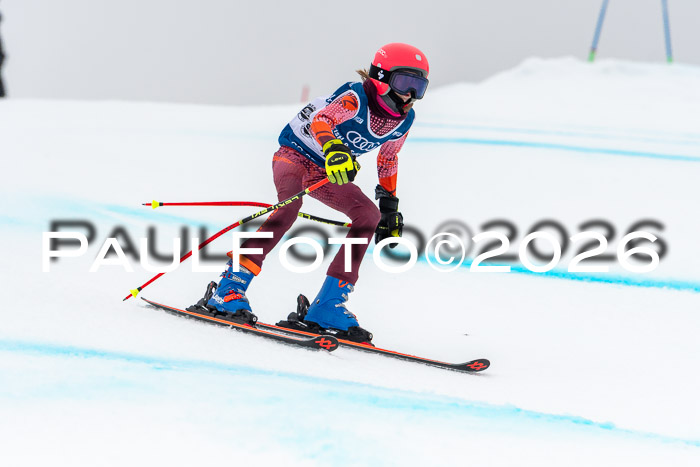 SVM  7. Stumbaum Hausfreunde Cup U12