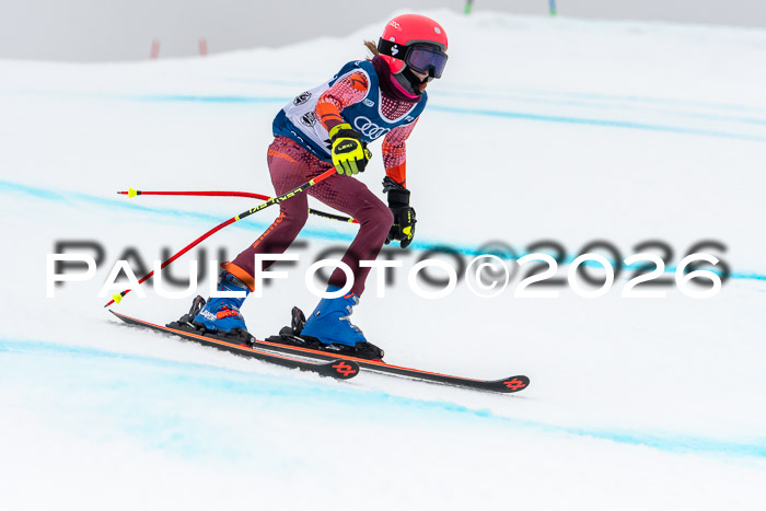 SVM  7. Stumbaum Hausfreunde Cup U12