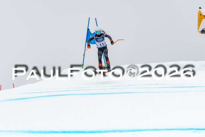 SVM  7. Stumbaum Hausfreunde Cup U12