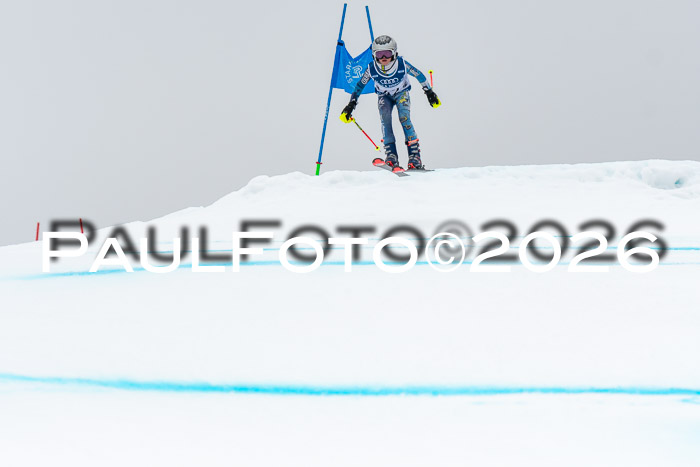 SVM  7. Stumbaum Hausfreunde Cup U12