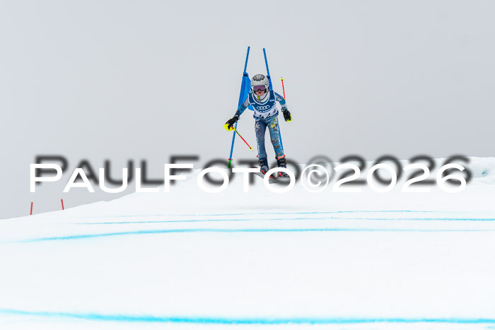 SVM  7. Stumbaum Hausfreunde Cup U12