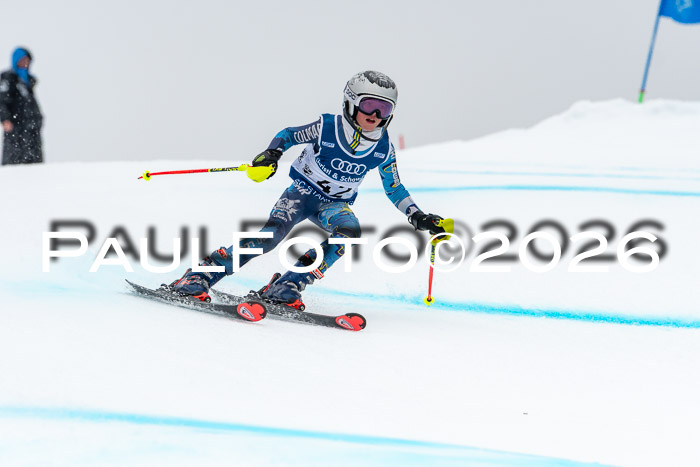 SVM  7. Stumbaum Hausfreunde Cup U12