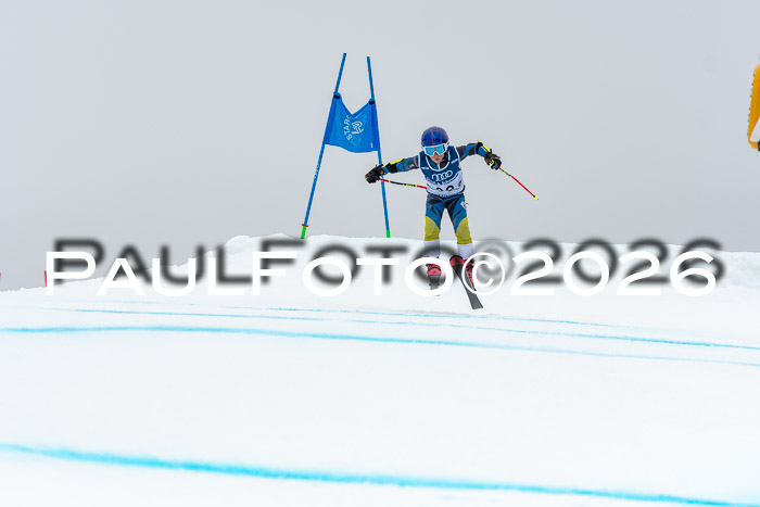 SVM  7. Stumbaum Hausfreunde Cup U12