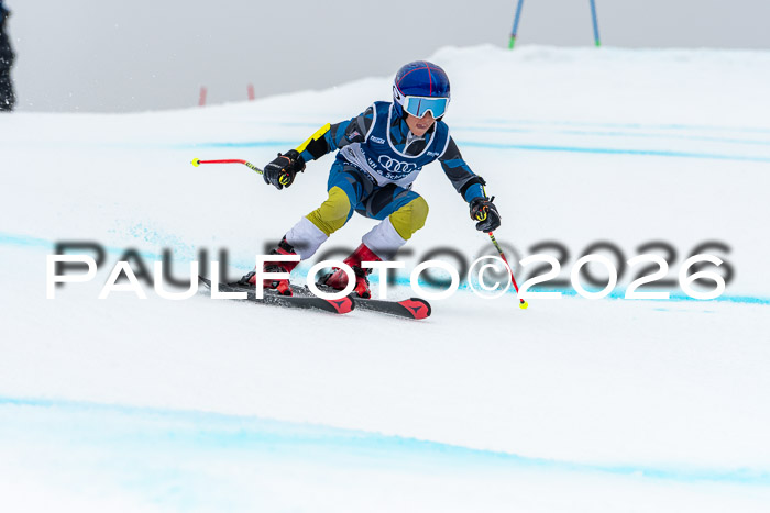 SVM  7. Stumbaum Hausfreunde Cup U12