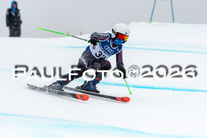 SVM  7. Stumbaum Hausfreunde Cup U12