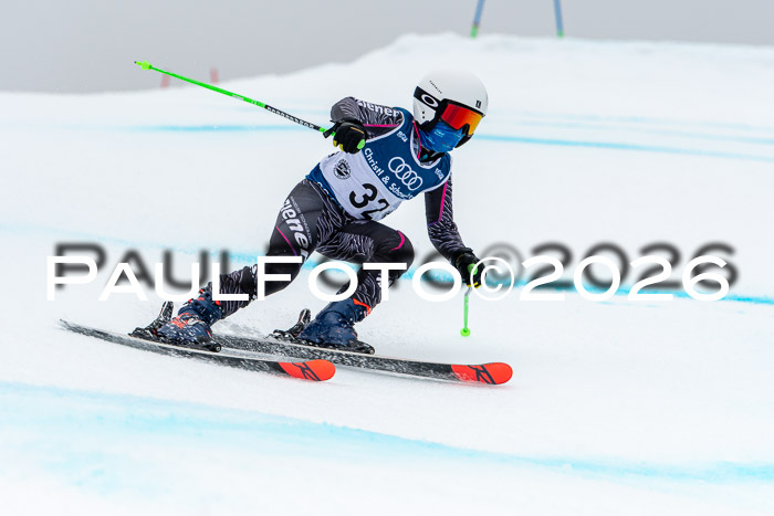 SVM  7. Stumbaum Hausfreunde Cup U12