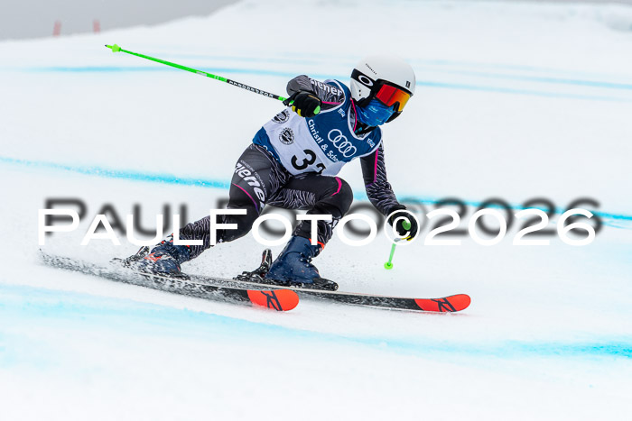 SVM  7. Stumbaum Hausfreunde Cup U12