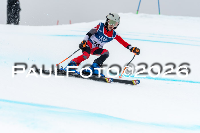 SVM  7. Stumbaum Hausfreunde Cup U12