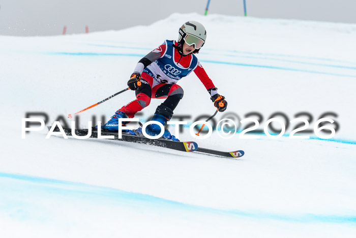 SVM  7. Stumbaum Hausfreunde Cup U12