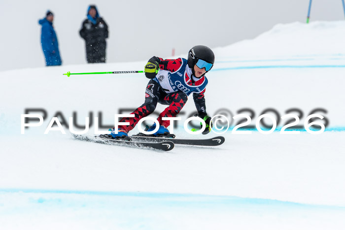 SVM  7. Stumbaum Hausfreunde Cup U12