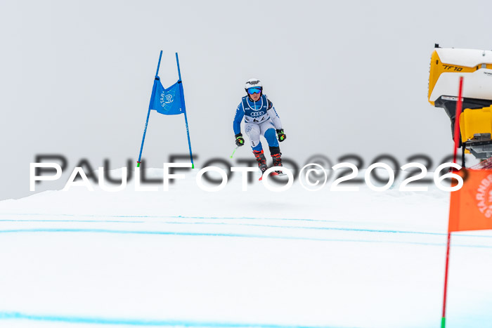 SVM  7. Stumbaum Hausfreunde Cup U12