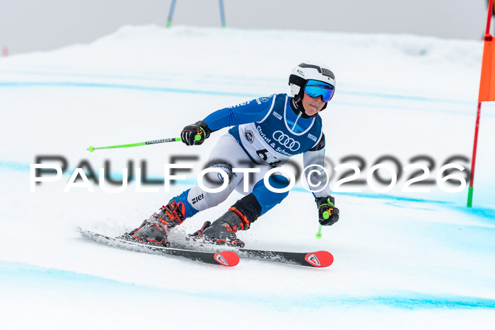 SVM  7. Stumbaum Hausfreunde Cup U12