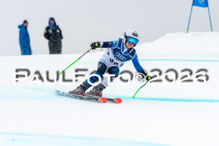 SVM  7. Stumbaum Hausfreunde Cup U12