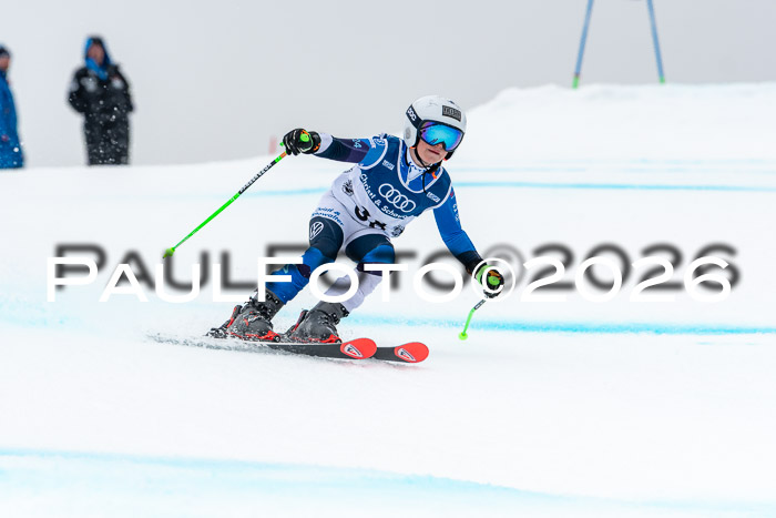 SVM  7. Stumbaum Hausfreunde Cup U12