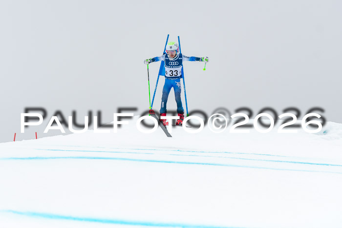 SVM  7. Stumbaum Hausfreunde Cup U12