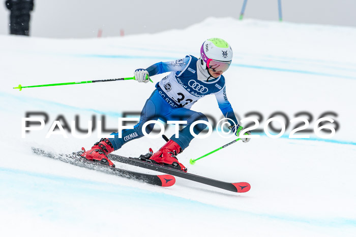 SVM  7. Stumbaum Hausfreunde Cup U12