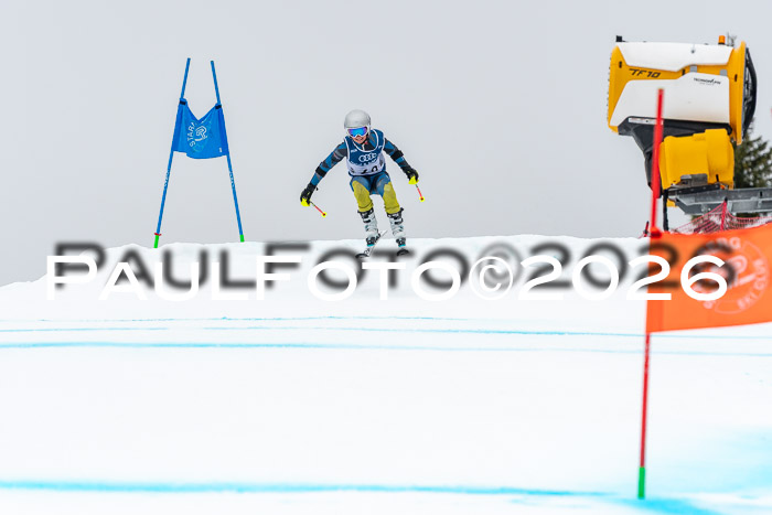 SVM  7. Stumbaum Hausfreunde Cup U12