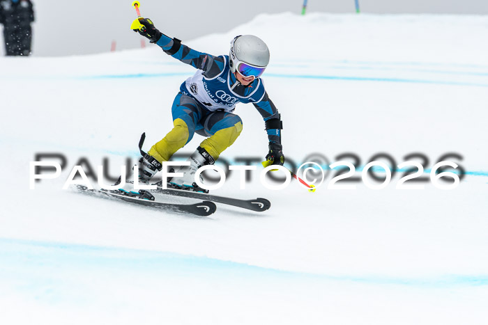 SVM  7. Stumbaum Hausfreunde Cup U12