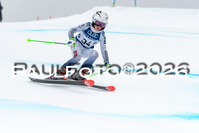 SVM  7. Stumbaum Hausfreunde Cup U12