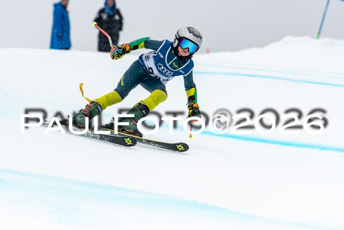 SVM  7. Stumbaum Hausfreunde Cup U12