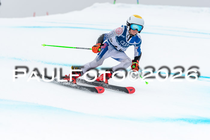 SVM  7. Stumbaum Hausfreunde Cup U12