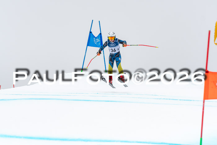 SVM  7. Stumbaum Hausfreunde Cup U12