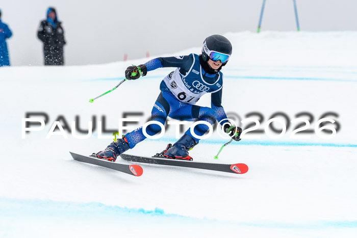 SVM  7. Stumbaum Hausfreunde Cup U12