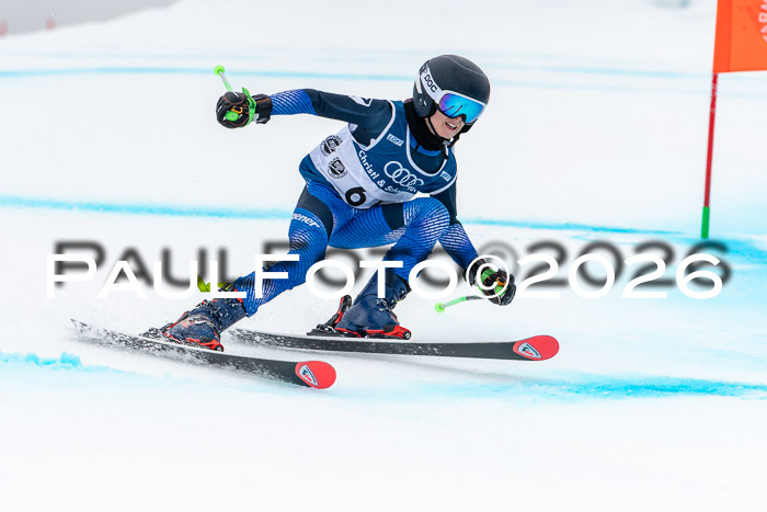 SVM  7. Stumbaum Hausfreunde Cup U12