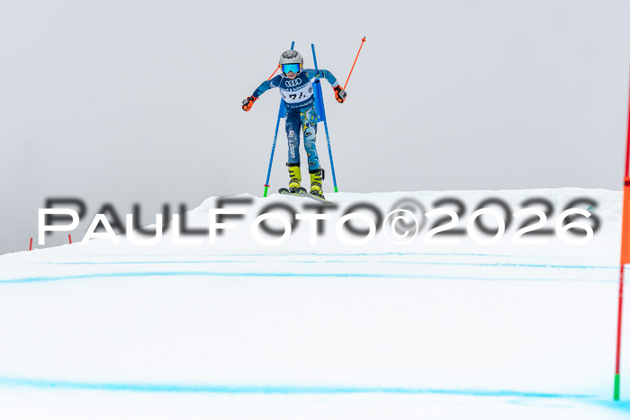 SVM  7. Stumbaum Hausfreunde Cup U12