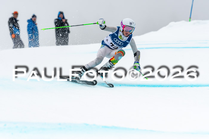 SVM  7. Stumbaum Hausfreunde Cup U12