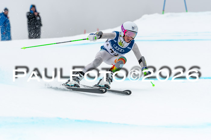 SVM  7. Stumbaum Hausfreunde Cup U12