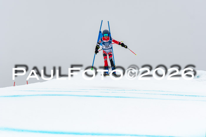 SVM  7. Stumbaum Hausfreunde Cup U12